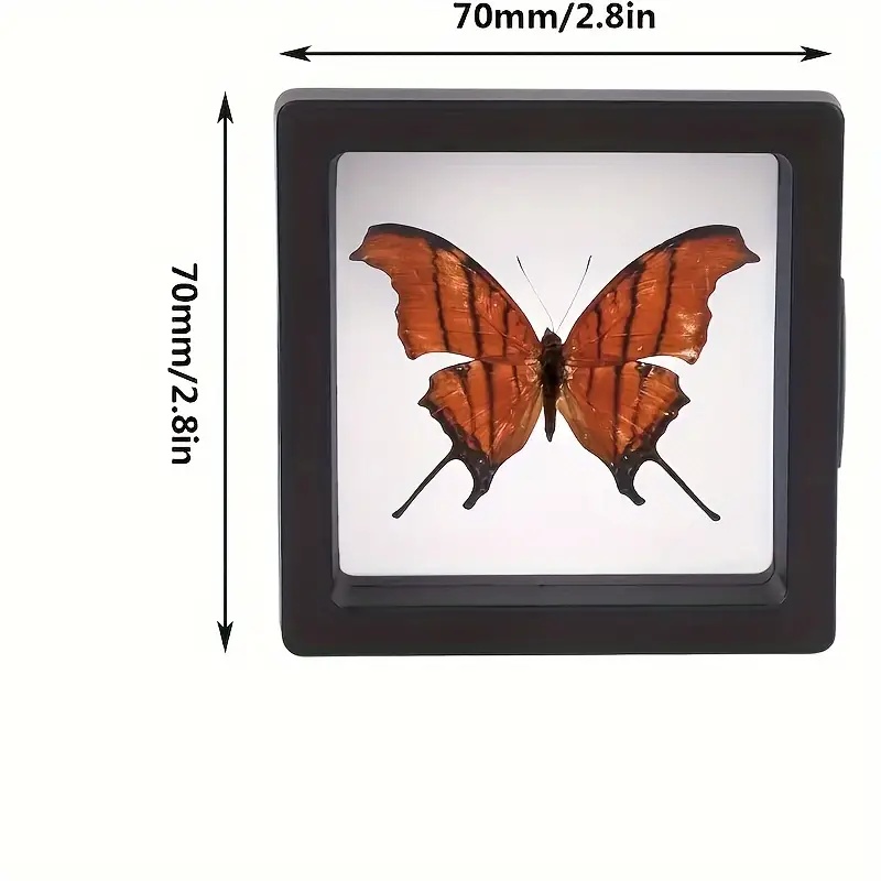 Présentoirs flottants Clearvie - Display Case Acrylic avis et prix